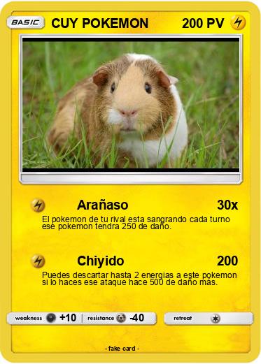 Pokemon CUY POKEMON