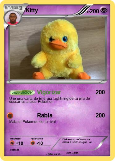 Pokemon Kitty