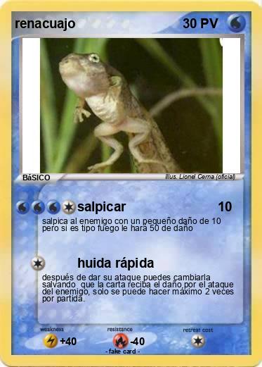 Pokemon renacuajo