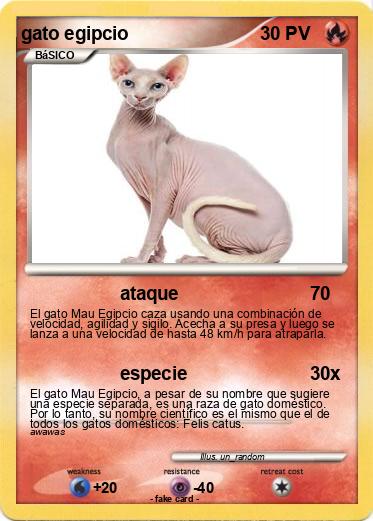Pokemon gato egipcio