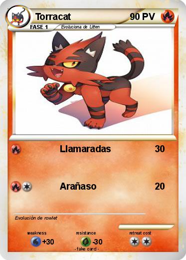 Pokemon Torracat