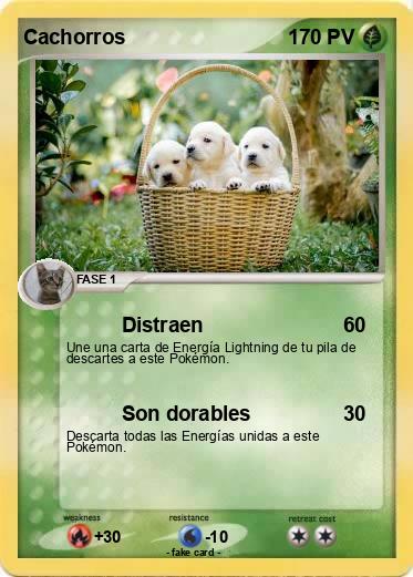 Pokemon Cachorros