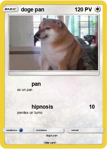 Pokemon doge pan