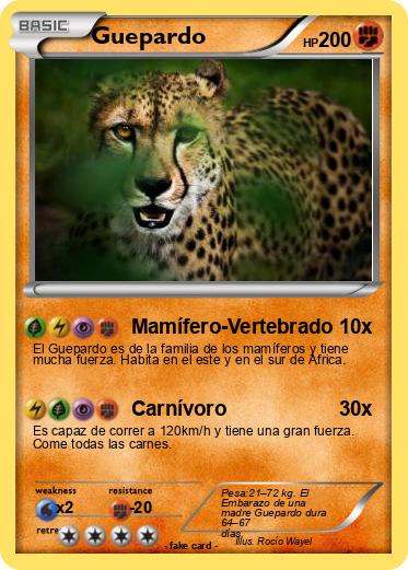 Pokemon Guepardo