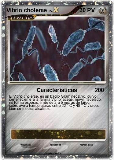 Pokemon Vibrio cholerae