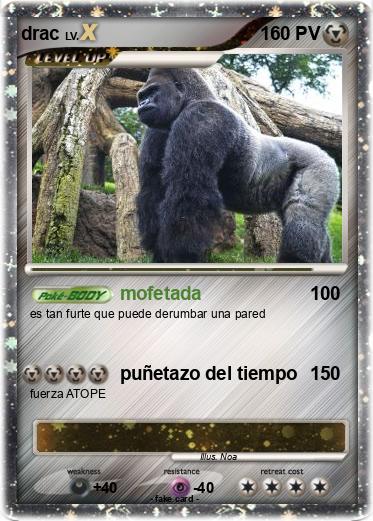 Pokemon drac