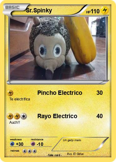 Pokemon Sr.Spinky