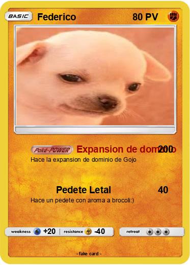 Pokemon Federico