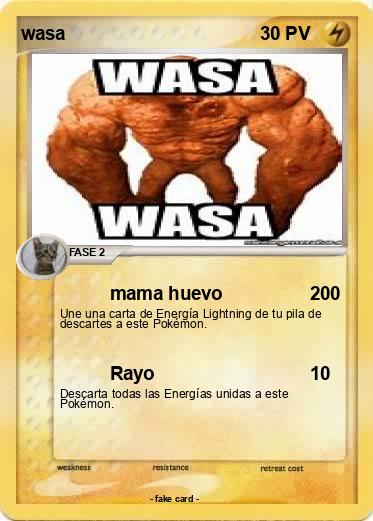 Pokemon wasa