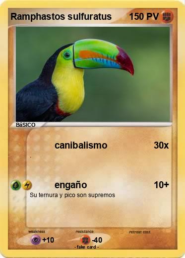 Pokemon Ramphastos sulfuratus