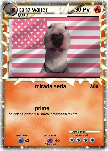 Pokemon pana walter