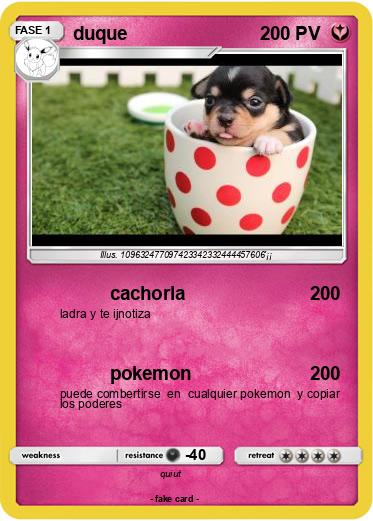 Pokemon duque