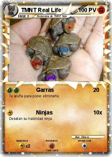 Pokemon TMNT Real Life