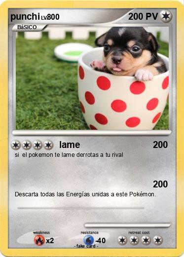 Pokemon punchi