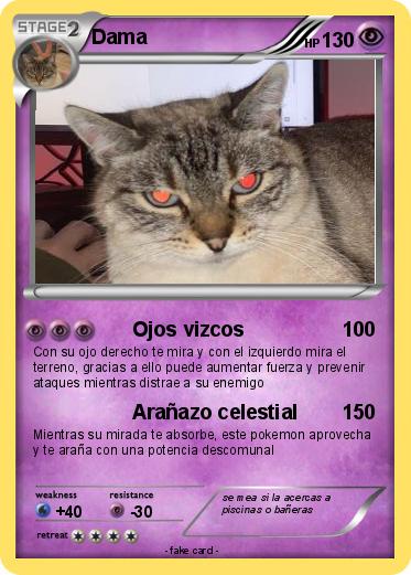 Pokemon Dama
