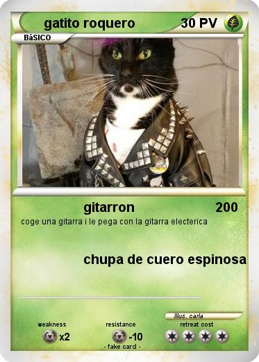 Pokemon gatito roquero