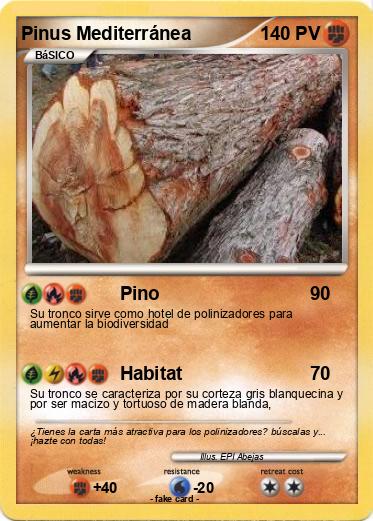 Pokemon Pinus Mediterránea