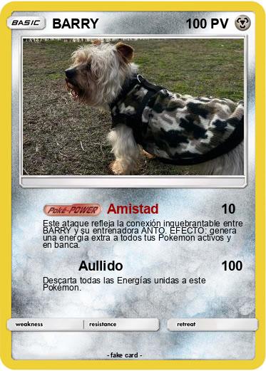 Pokemon BARRY