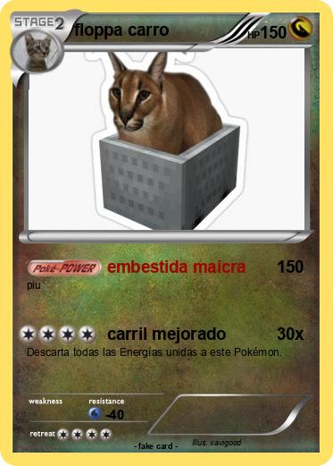 Pokemon floppa carro