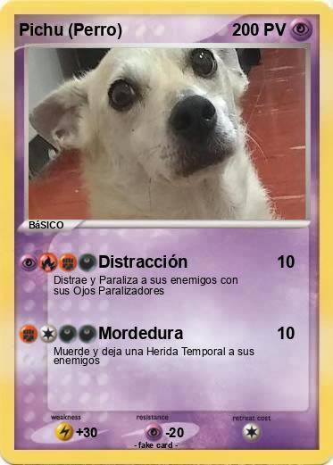 Pokemon Pichu (Perro)