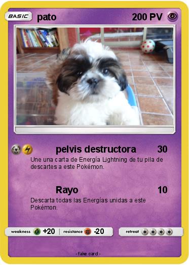Pokemon pato