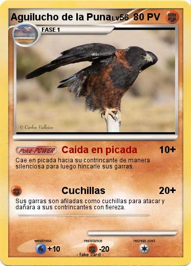 Pokemon Aguilucho de la Puna
