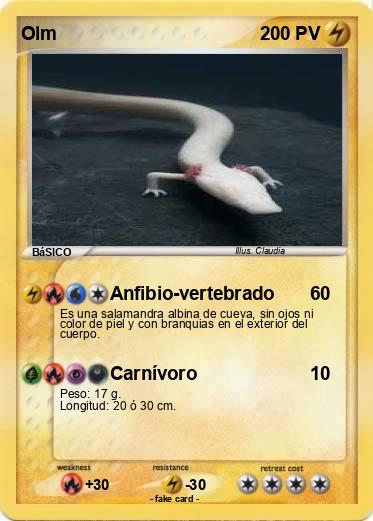 Pokemon Olm