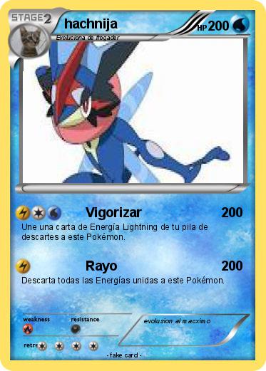 Pokemon hachnija