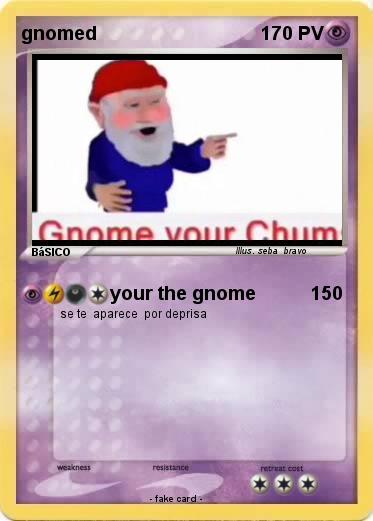 Pokemon gnomed