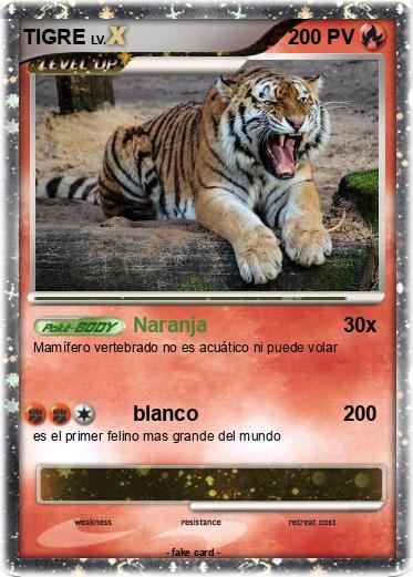 Pokemon TIGRE