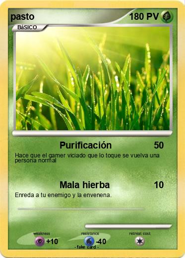Pokemon pasto