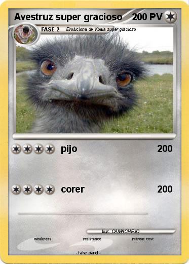 Pokemon Avestruz super gracioso