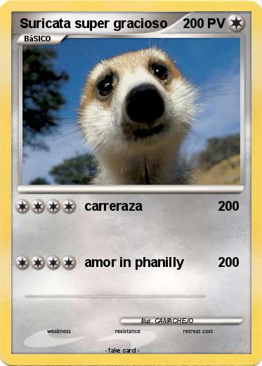Pokemon Suricata super gracioso