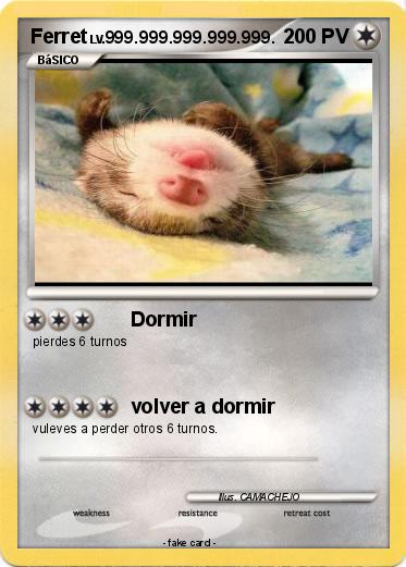 Pokemon Ferret