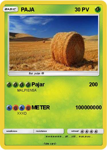Pokemon PAJA