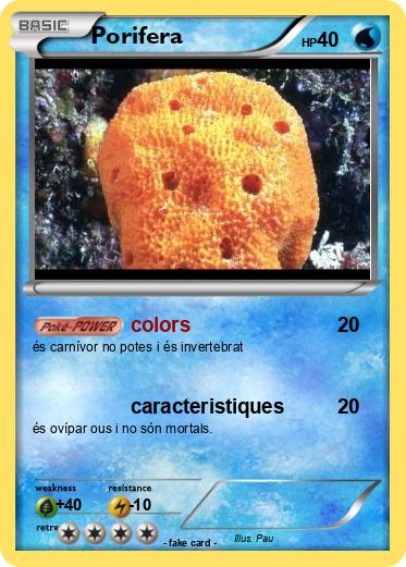 Pokemon Porifera