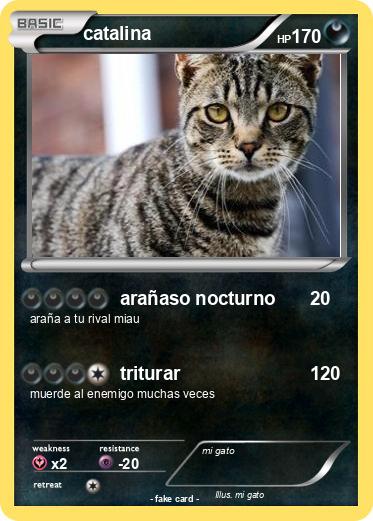 Pokemon catalina