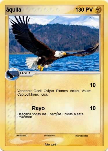 Pokemon áquila