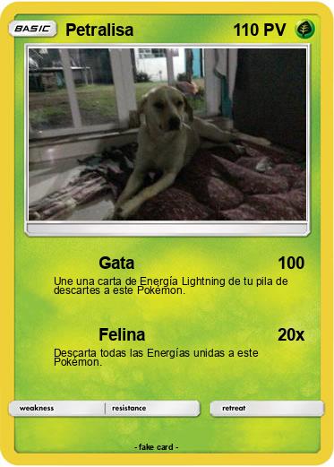 Pokemon Petralisa