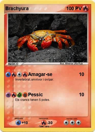 Pokemon Brachyura