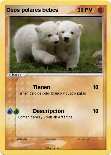 Pokemon Osos polares bebés