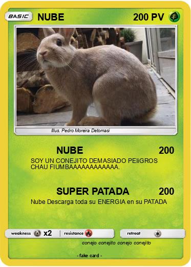 Pokemon NUBE