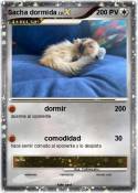 Sacha dormida