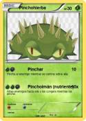 Pinchohierba