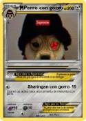 Perro con gorro