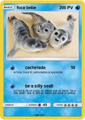foca bebe