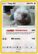 Toby GX