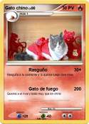 Gato chino