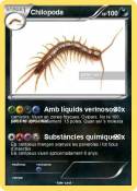 Chilopoda
