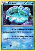 Porifera